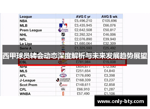 西甲球员转会动态深度解析与未来发展趋势展望