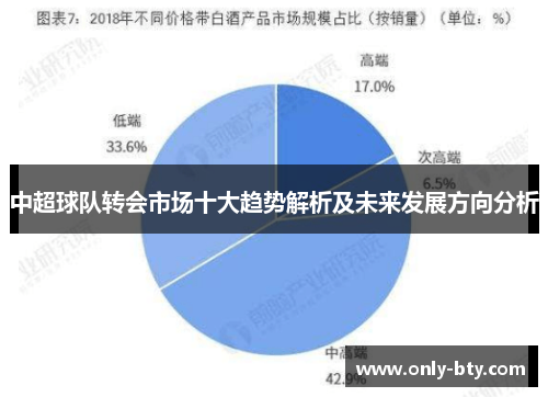 中超球队转会市场十大趋势解析及未来发展方向分析