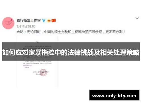 如何应对家暴指控中的法律挑战及相关处理策略