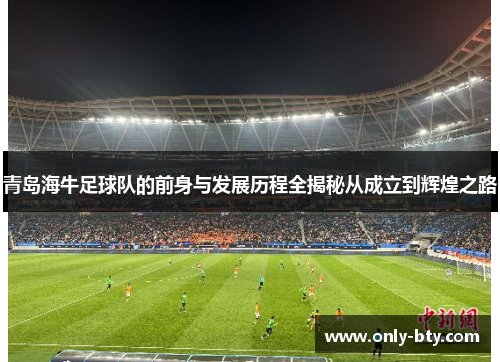 青岛海牛足球队的前身与发展历程全揭秘从成立到辉煌之路 青岛海牛足球队的前身与发展历程全揭秘从成立到辉煌之路