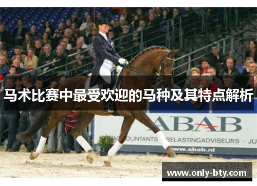 马术比赛中最受欢迎的马种及其特点解析 马术比赛中最受欢迎的马种及其特点解析